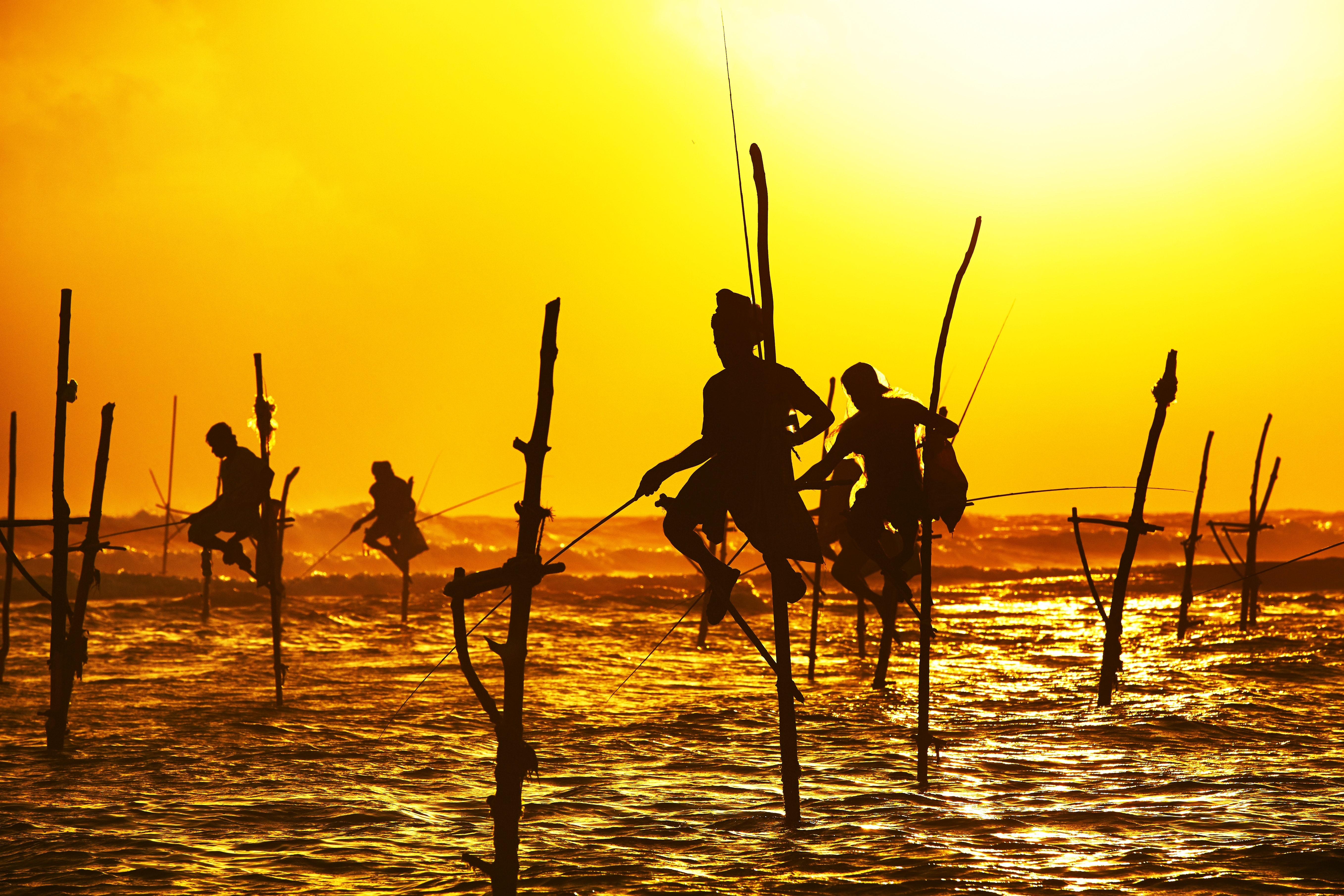 Sri Lanka Tours